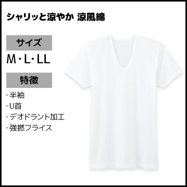 快適工房 涼風綿 半袖U首 Tシャツ 綿100% 日本製 グンゼ GUNZE : モテ