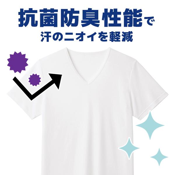 アセドロン 鹿の子 VネックTシャツ 男性 グンゼ GUNZE MCA715R【2枚