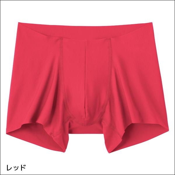 GUNZE（グンゼ） NEXTYLE ネクスタイル イケポチャパンツ ボクサー