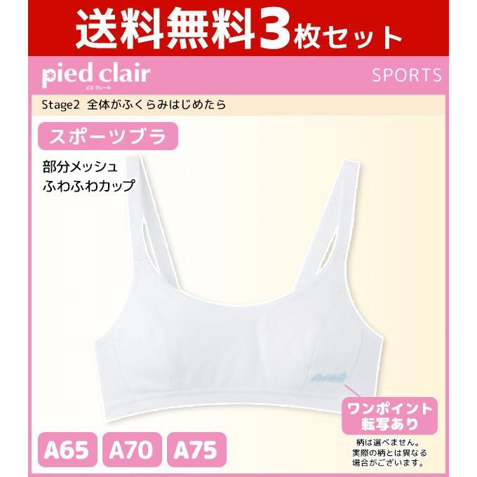 Pied Clair 3枚セット ジュニアレディース pied clair ピエクレール