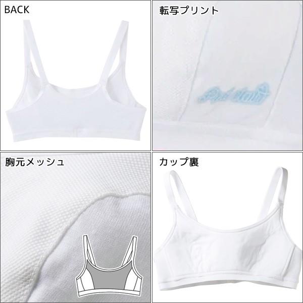 Pied Clair 3枚セット ジュニアレディース pied clair ピエクレール