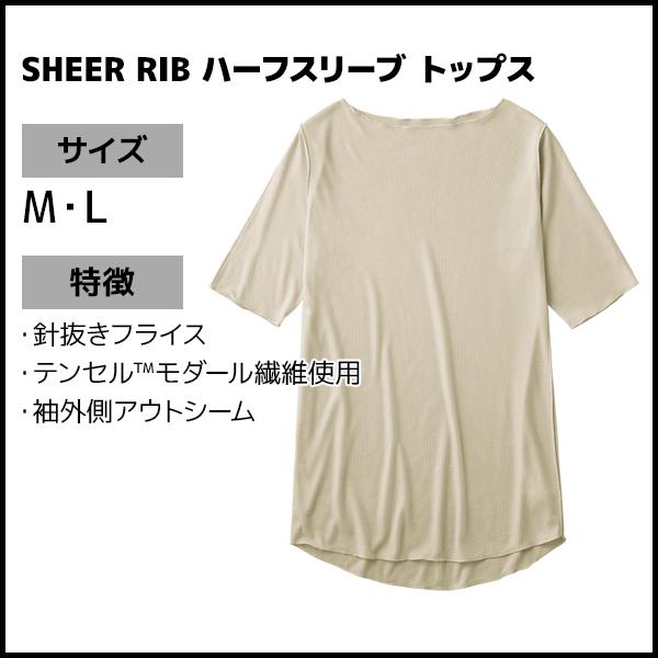 トップス sai GUNZE SAi サイ SHEER RIB ハーフスリーブ トップス グンゼ : モテ下着