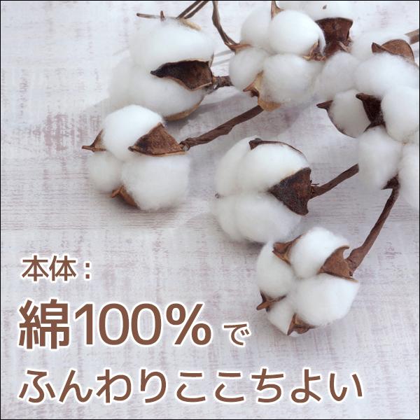 YG 同色5枚セット ワイジー COTTON100% スタンダードブリーフ 前あき