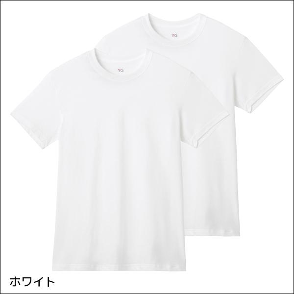 YG ワイジー クルーネックTシャツ 2枚組 綿100% 天竺 紳士 グンゼ