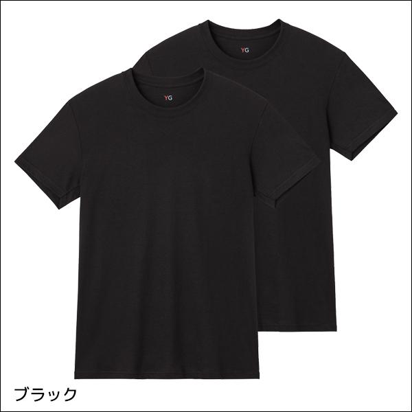 YG ワイジー クルーネックTシャツ 2枚組 綿100% 天竺 紳士 グンゼ