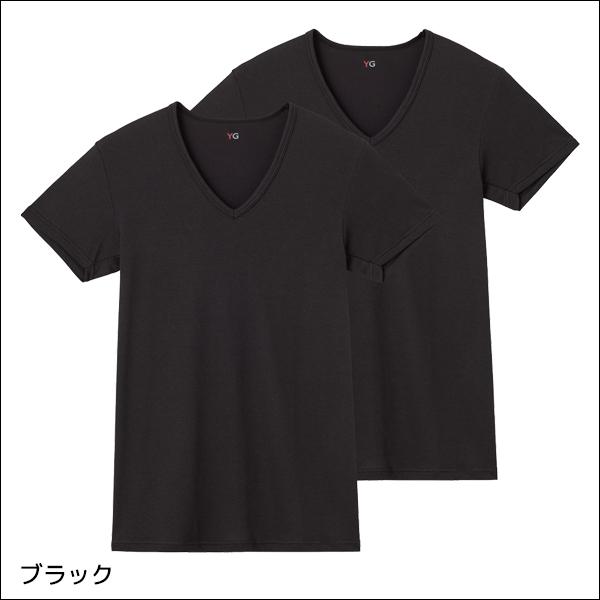 YG ワイジー VネックTシャツ 2枚組 TC鹿の子 紳士 グンゼ GUNZE : モテ