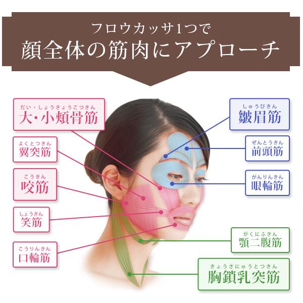 EBiS かっさ EMS かっさ美顔器 電動かっさ カッサ 美顔器 フェイスかっ