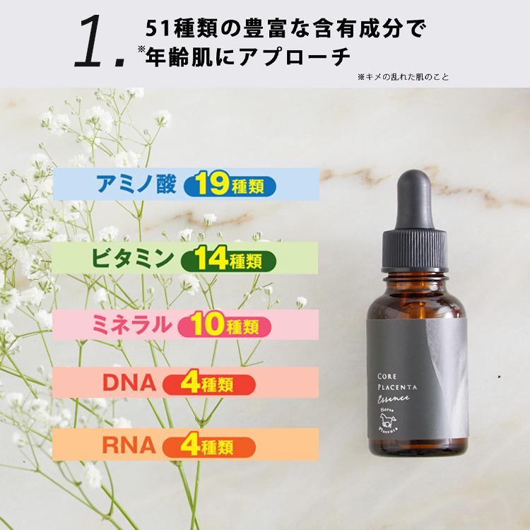 馬プラセンタ 美容液 コアプラセンタエッセンス 2本 33ml 敏感肌 100 保湿 プラセンタ プラセンタ100 導入美容液 くすみ 原液 毛穴 イオン導入 角質ケア 無添加 送料無料 エキス