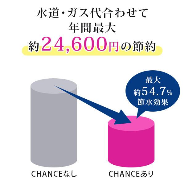ナノバブル ナノバブル発生器 シャワー用 節水 節水シャワー 毛穴