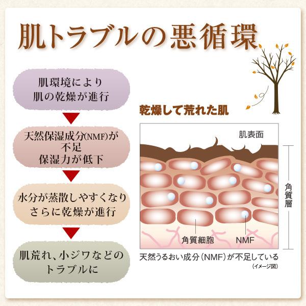 美顔器 超音波 リフトアップ イオン導入器 たるみ 毛穴 美顔機 おすすめ 選べる美顔器特別セット Sa Str Fa U 美顔器 原液の店モテビューティー 通販 Yahoo ショッピング