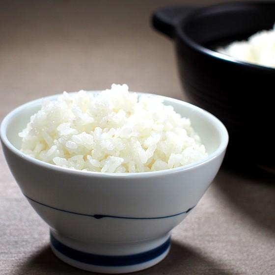 玄米20kg(10kg×2) 令和6年産 とちぎの星 送料込 匿名、段ボール配送 ◇玄米4.5㎏×2袋セット】石井米「とちぎの星」〈令和6年産