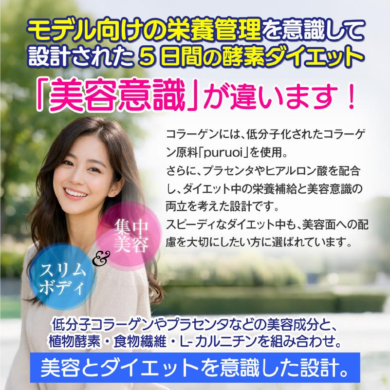 酵素の力でたった5日間 5Daysプレミアムダイエット1箱5包入り 酵素