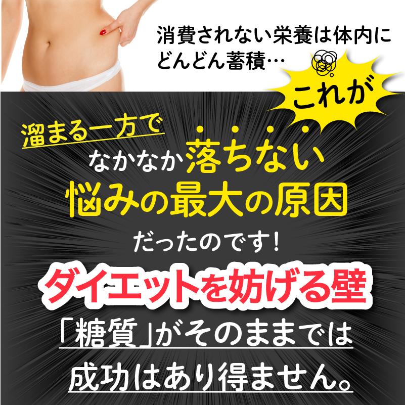 大容量200粒入パック】ザ糖質プレミアムダイエット (約100-200日分