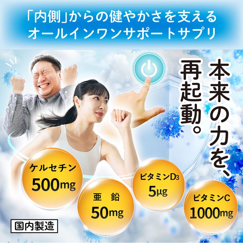 レプゲドック（180粒入） 亜鉛 ケルセチン 配合 マルチサプリ ビタミン