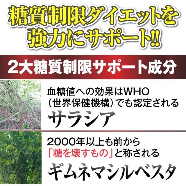 ザ 糖質スーパープレミアムダイエット 30粒入り 糖質制限 ダイエット サプリ サラシア ギムネマ Yb Spcb30 Mnn Tp01 ビューティーマザーリーフ 通販 Yahoo ショッピング