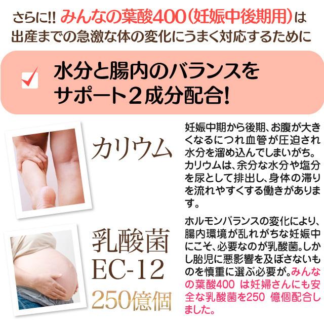 妊娠中期 妊娠後期の方におすすめ みんなの葉酸 400mg 約1か月分 30粒入り 葉酸サプリ モノグルタミン酸型葉酸 無添加 Yb Y2n Mnn Tp02 ビューティーマザーリーフ 通販 Yahoo ショッピング