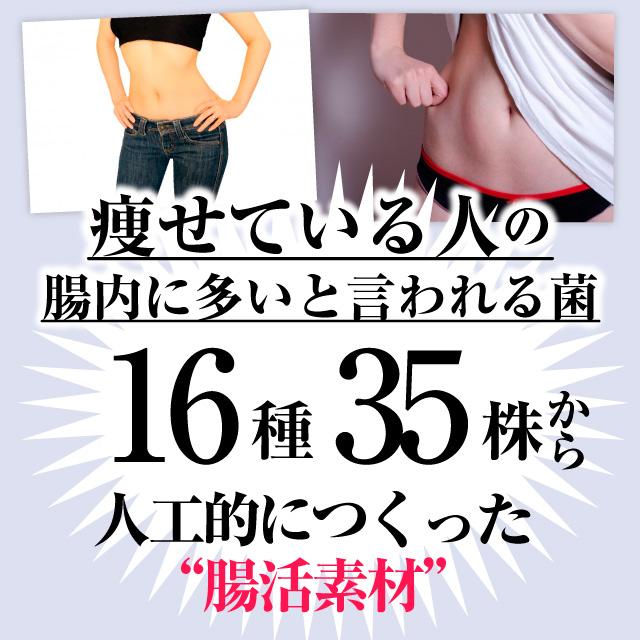 送料無料】善玉菌プレミアム（60粒入）【1日2粒×約1ヶ月分】腸活