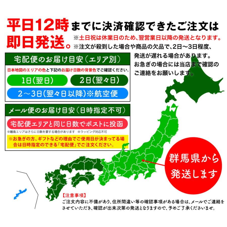 TM COLLECTION tmコレクション メンズ Tバック ビキニ 日本製 ティーエムコレクション TM collection ...