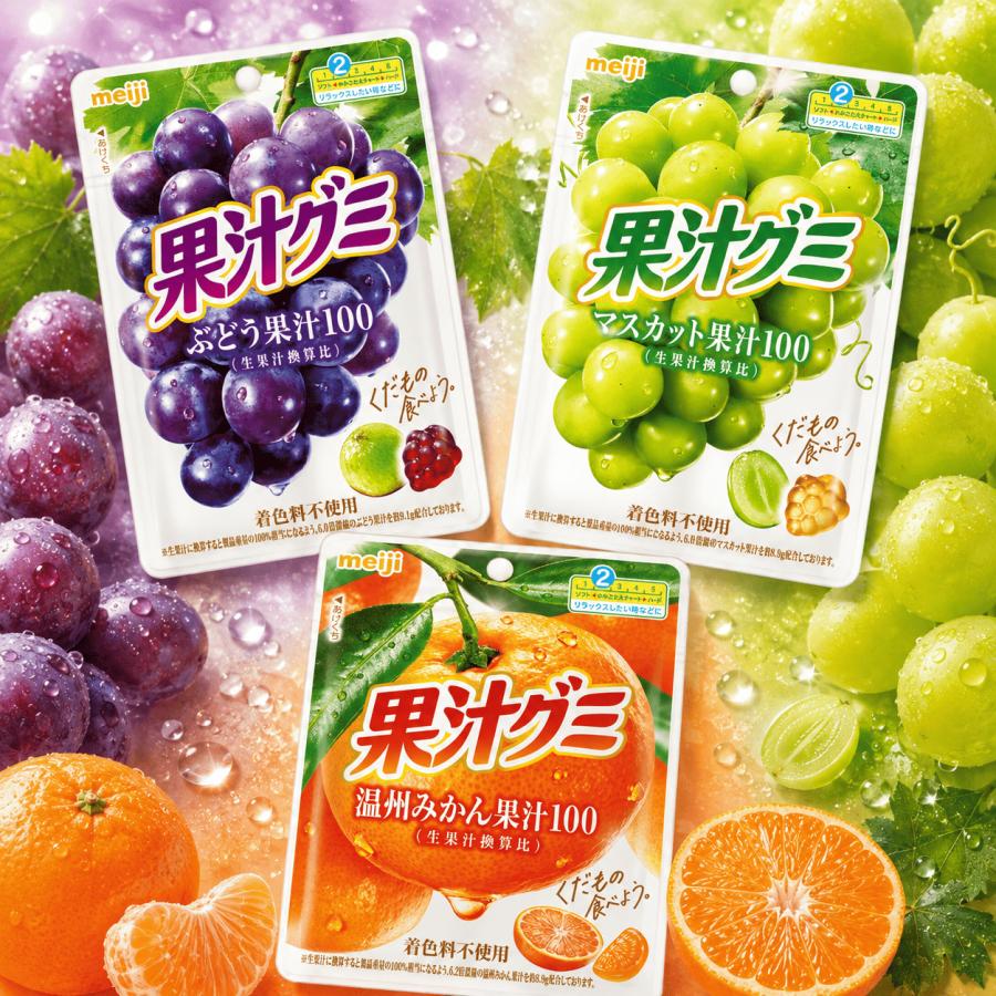 果汁グミ グミ 詰め合わせ 12個 人気 お菓子 おやつ ポイント利用