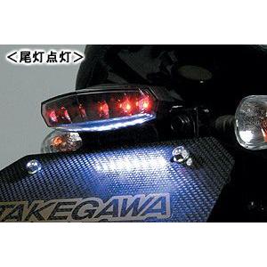 スペシャルパーツ武川 SP武川 LEDミニテールランプキット＜SPタケガワ 