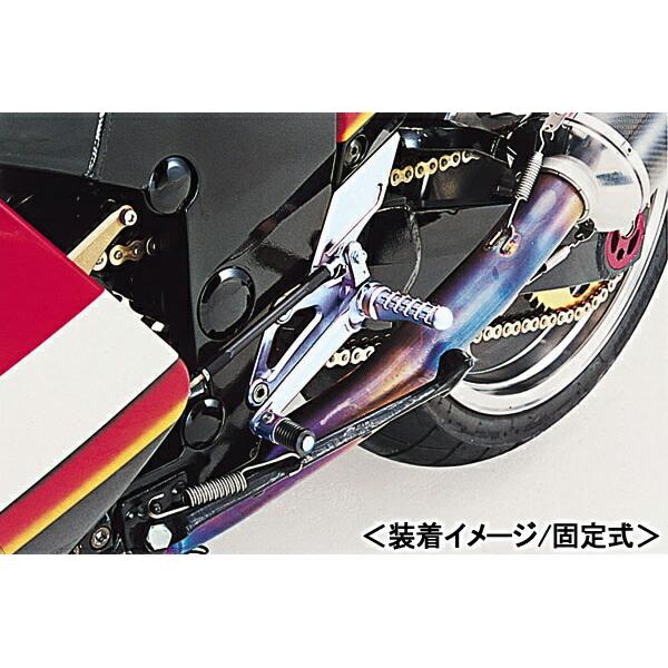 ビート ハイパーバンク 固定式 SLV 0111-K29-20 ZZR1100/ZX-11 90-92