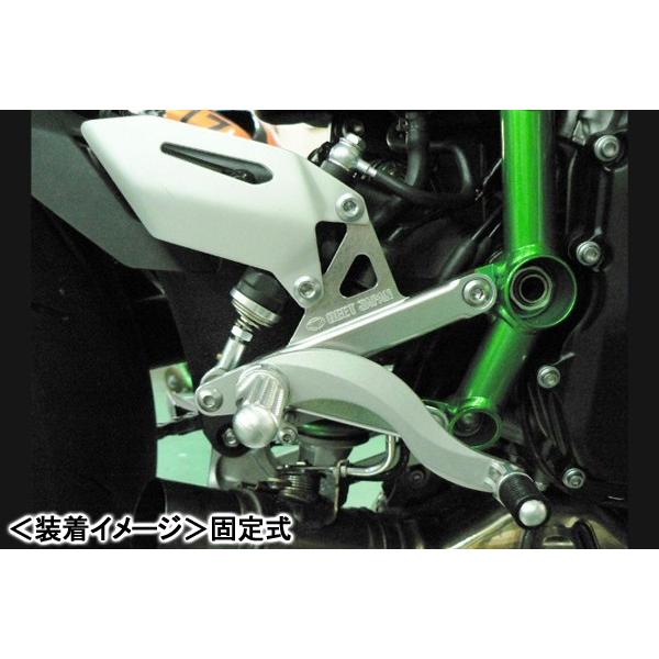 BEET ハイパーバンク（シルバー/固定式）/Ninja H2 0111-KD1-20