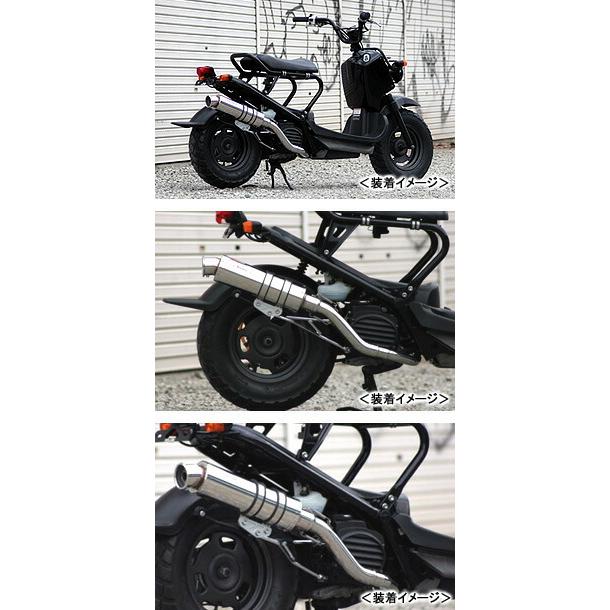 REALIZE Blink SUS（ブリンク ステンレス） マフラー/ZOOMER 303-011