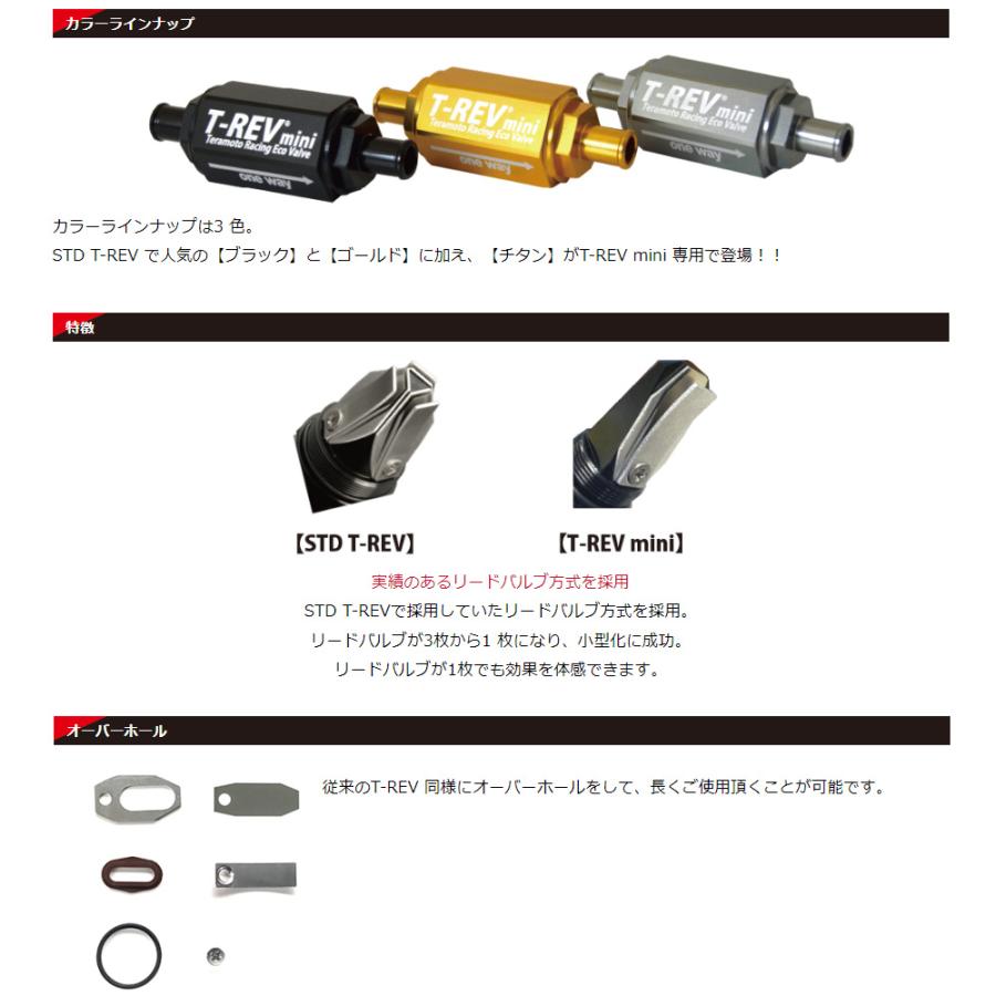 TERAMOTO スーパーカブC125 ［JA48］［JA58］ T-REVmini SPキット