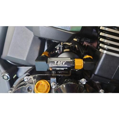 TERAMOTO ZRX1200DAEG T-REVαシステム SPフルキット : バイク TERAMOTO ZRX1200DAEG T-REVαシステム SPフルキット : バイク