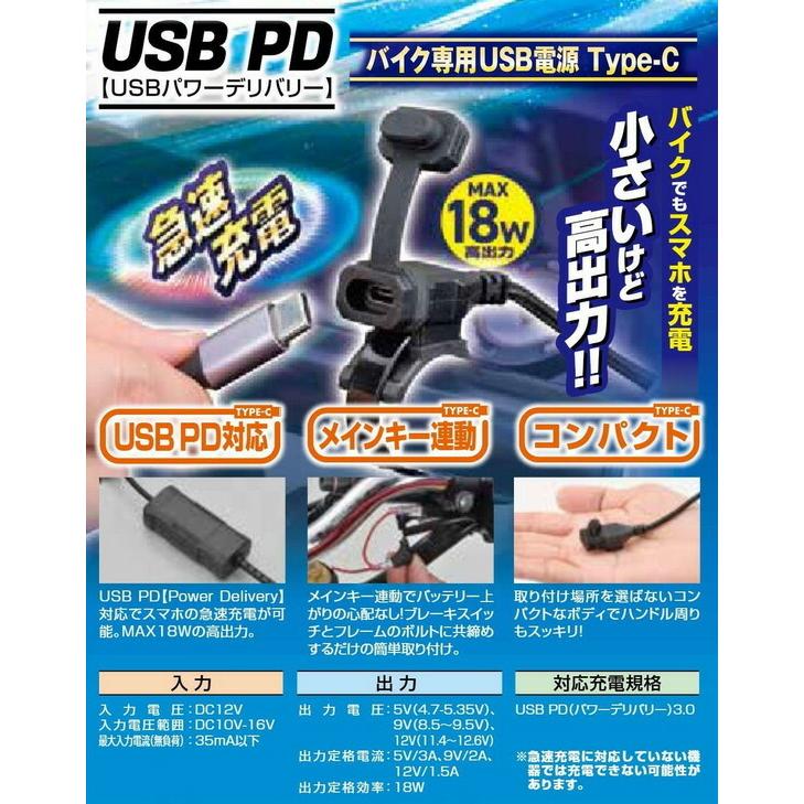 DAYTONA（デイトナ） バイク専用USB電源 Type-C 17213 : バイクパーツ