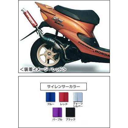 ※専用※ BURIAL ブレイズ チャンバー（クォーツシルバー）⁄ライブDIO-ZX BURIAL