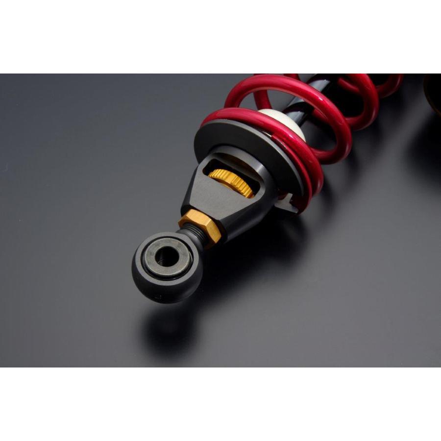 ADVANTAGE SHOWA RS-γ リアサスペンション（油圧イニシャル