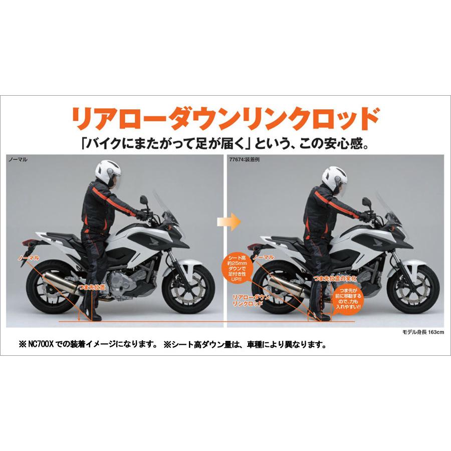 専用 DAYTONA（デイトナ） リアローダウンリンクロッド/LKX250（08-13年