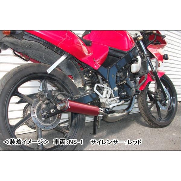 NSR50 SP50用？　ショートチャンバー RSY 走り屋倶楽部 ショートチャンバー（シルバー）/NSR50[AC10] 115