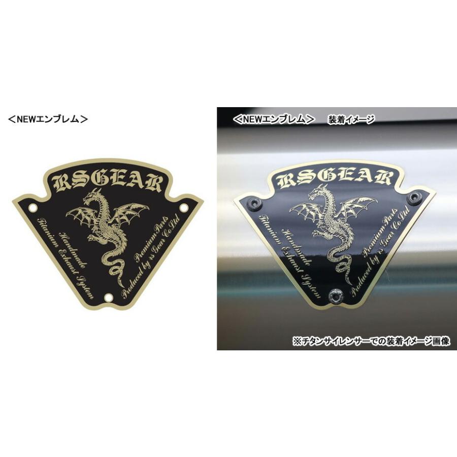 GSX1300R HAYABUSA（'08～'18） ワイバン シングル チタンポリッシュ