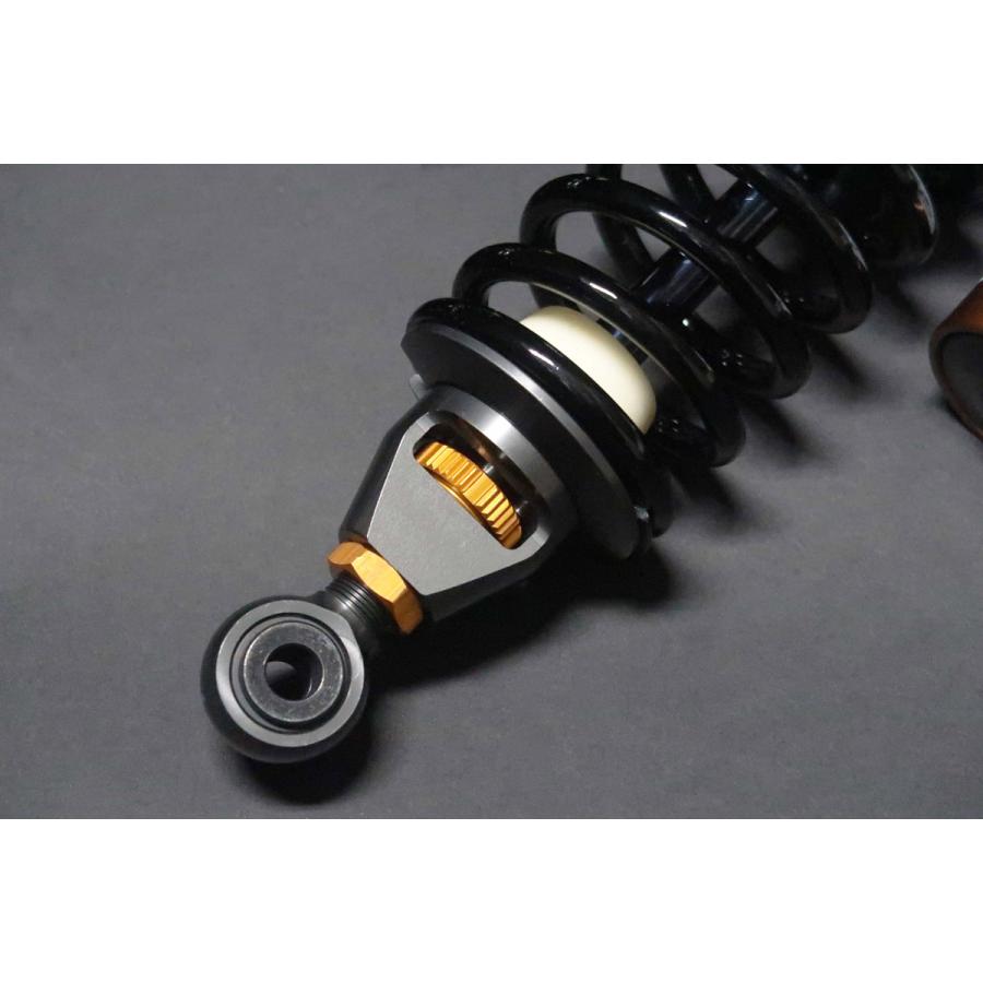 ADVANTAGE SHOWA RS-γ リアサスペンション（油圧イニシャル