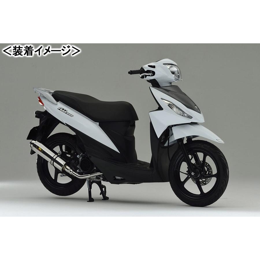 REALIZE 22Racing SUS（22レーシング ステンレス） マフラー/アドレス