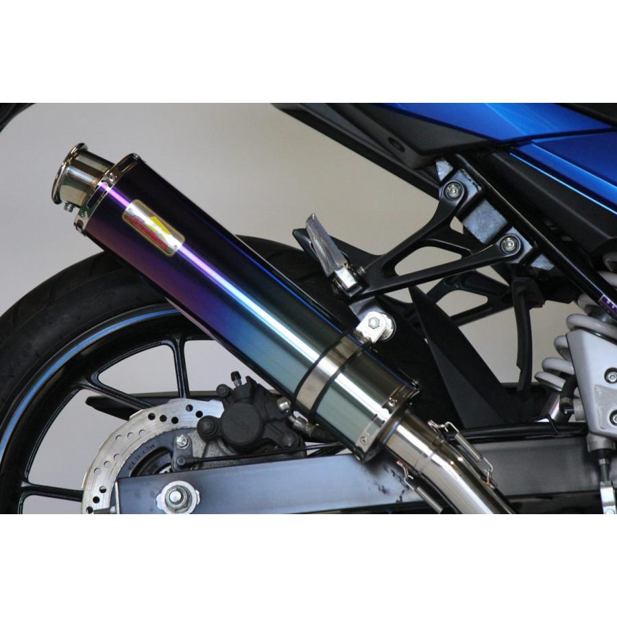 専用Realize スズキ GSX250R 2BK Aria TI スラッシュ REALIZE GSX250R ［2BK-DN11A］ Aria（アリア）チタンマフラーType-C