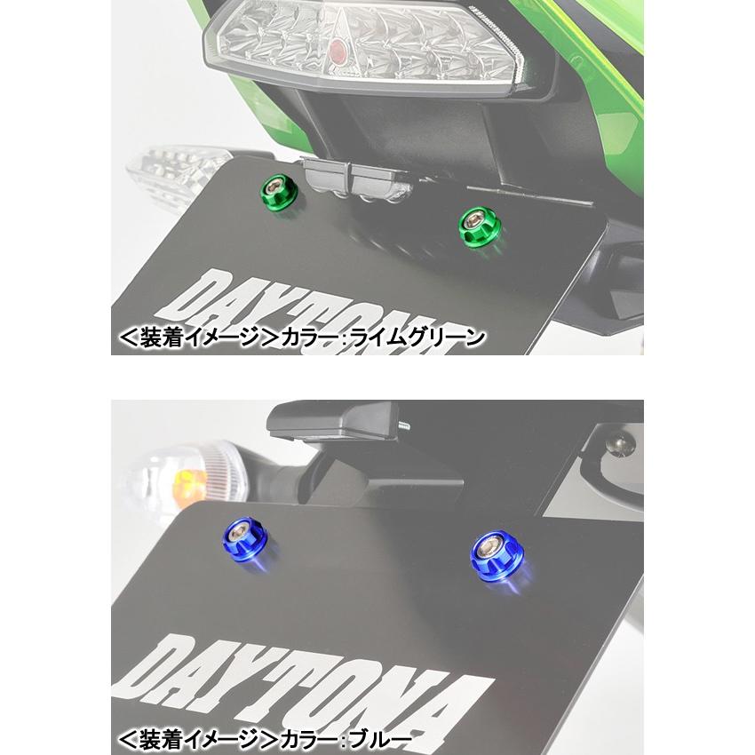 Ⓜ︎ページ Amazon.co.jp: Daytona Premium Zone License Plate Holder Set, model