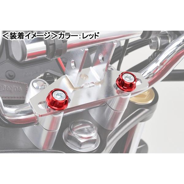 DAYTONA（デイトナ） DAYTONA PREMIUM ZONEシリーズ キャップボルト