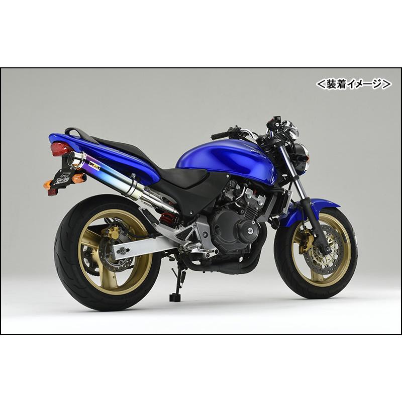 Realize ホンダ ホーネット250 Aria Ti TypeS マフラー REALIZE Aria Ti TypeS（チタン） マフラー/ホーネット250［MC31］ 505