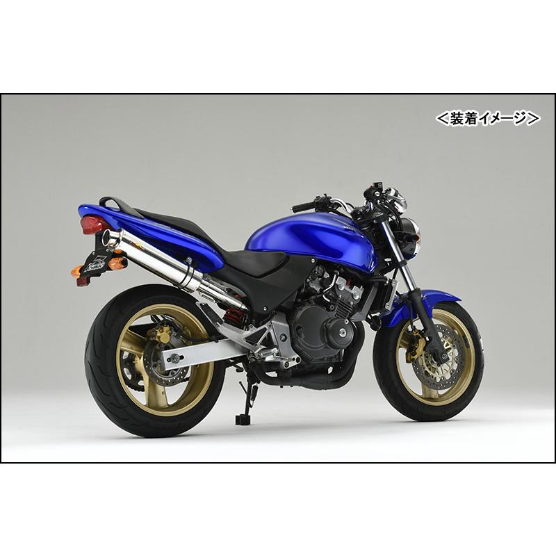 REALIZE Aria SUS TypeC（ステンレス） マフラー/ホーネット250［MC31