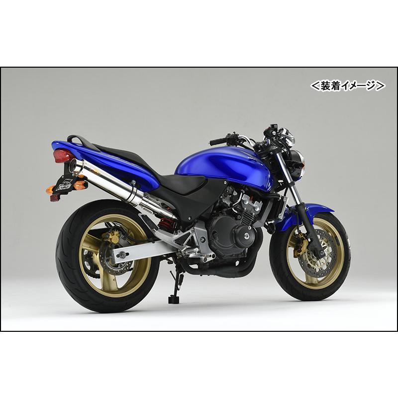REALIZE Aria SUS TypeS（ステンレス） マフラー/ホーネット250［MC31