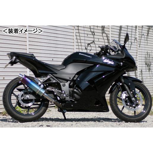 REALIZE Aria Ti TypeC（チタン） マフラー/Ninja250R［JBK-EX250K 
