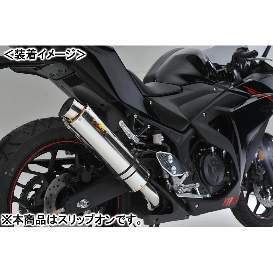REALIZE Aria SUS TypeS（ステンレス） マフラー/YZF-R25・YZF-R3 511 