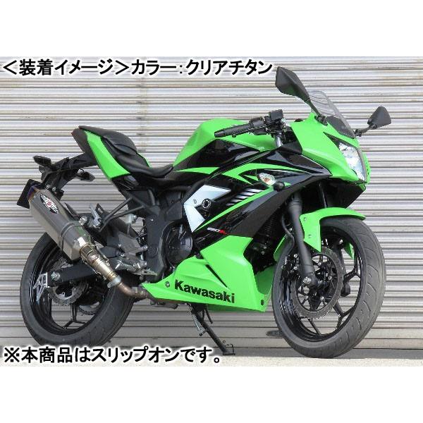 BEET NASSERT Evolution Type-II SLIP ON（ブルーチタン）/Ninja250SL 0228-KD2-BLの画像
