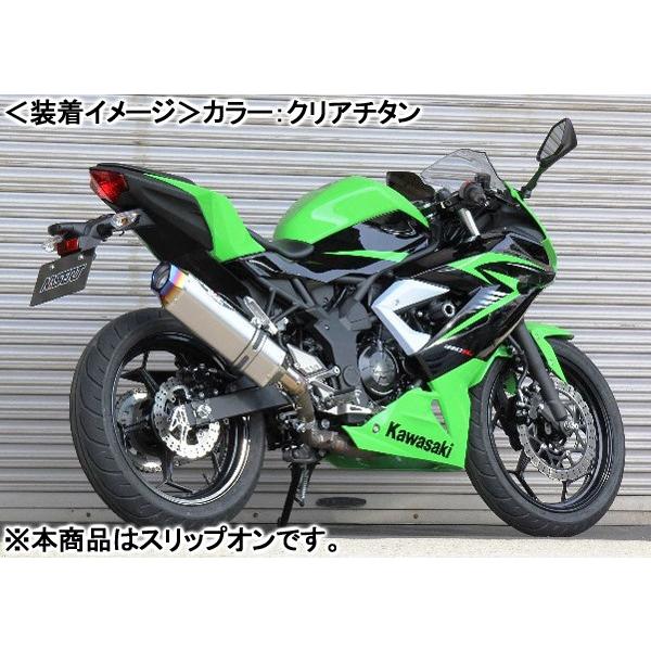 BEET NASSERT Evolution Type-II SLIP ON（ブルーチタン）/Ninja250SL 0228-KD2-BLの画像
