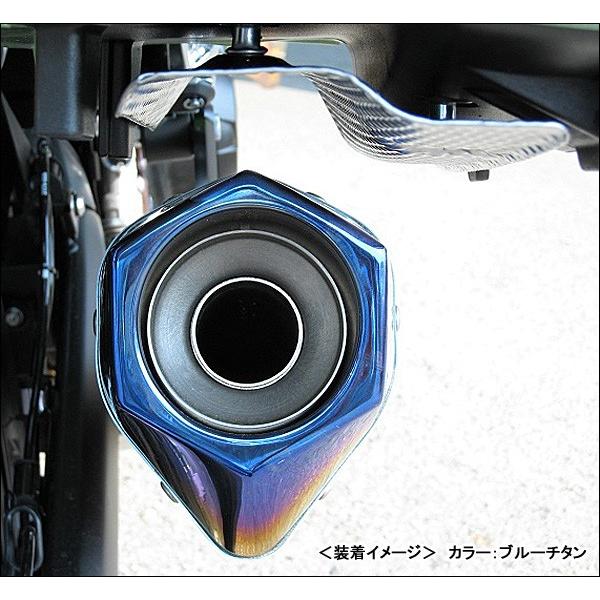 BEET NASSERT Evolution Type-2(クリアチタン)パニアケース BEET NASSERT Evolution Type-2(クリアチタン)パニアケース