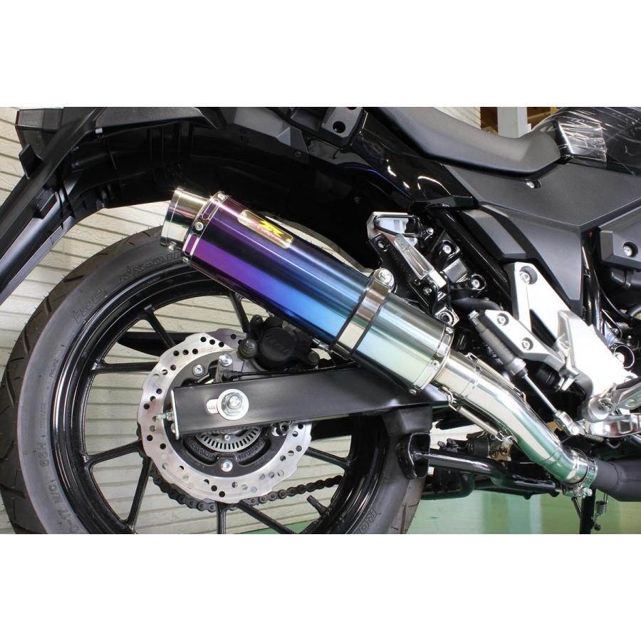 REALIZE Vストローム ［2BK-DS11A］ Aria（アリア）Ti Type-S
