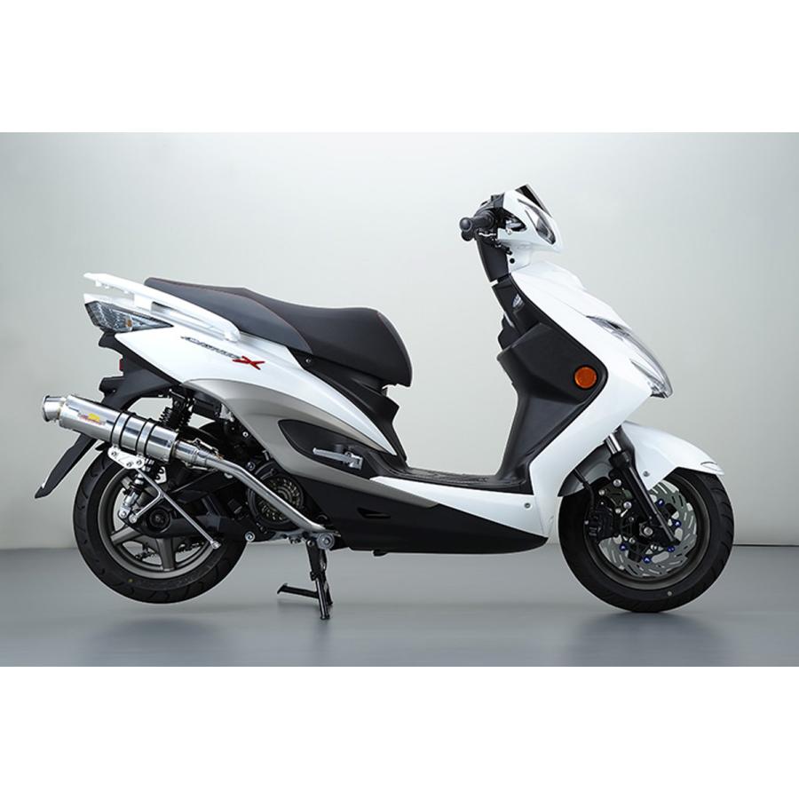 REALIZE シグナスX （1型-3型）国内仕様 ［SE44J/SE12J］ Blink